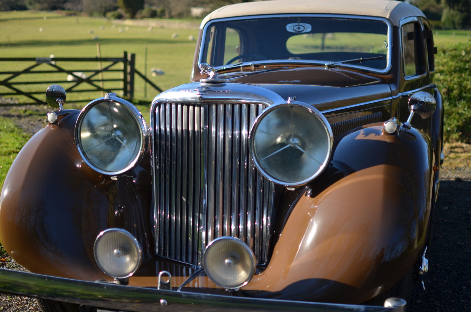 Jaguar Mk IV 3 1/2 litre for sale | Castle Classic Cars